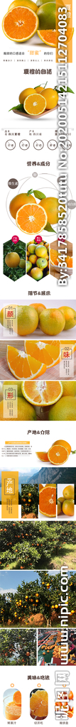 夏橙详情页
