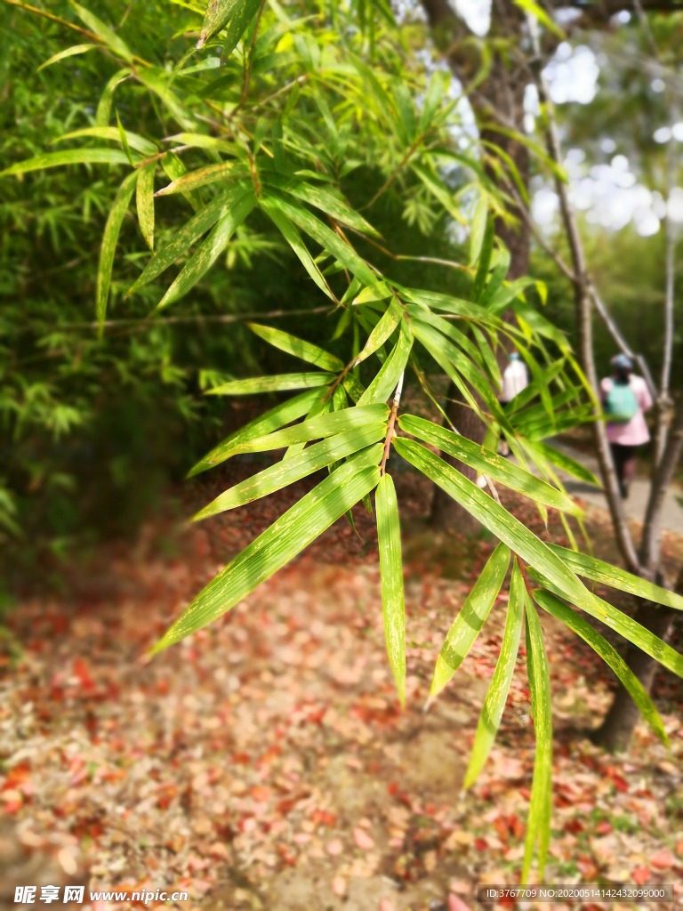 江南园林风景