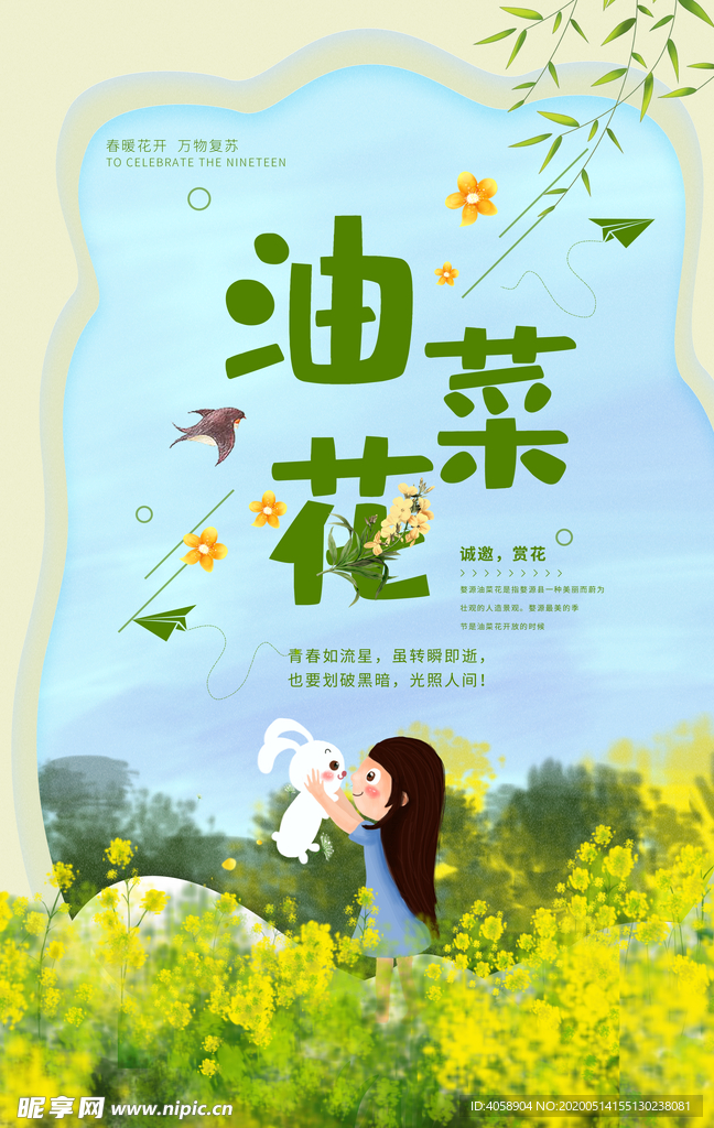 油菜花