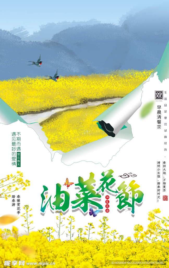 油菜花节