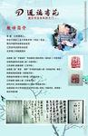 教师简介