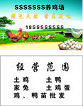 土鸡蛋名片