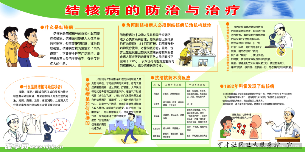 结核病的防治与治疗