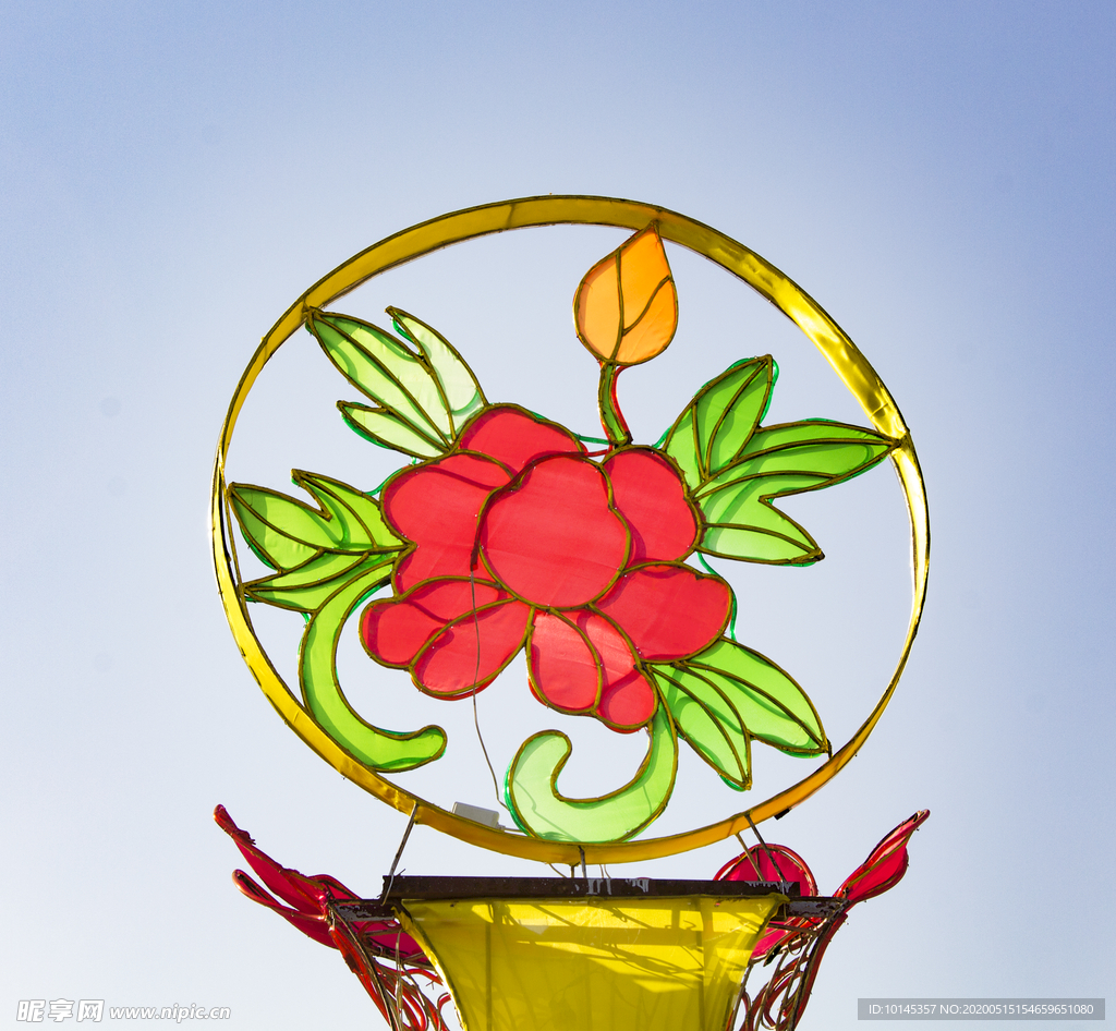 荷花