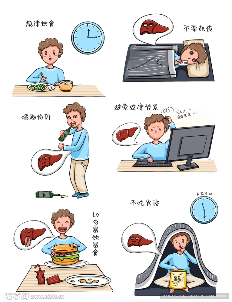 保护肝脏健康饮食规律作息卡通