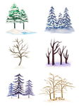 立冬雪景松树树干柏树雪花手绘