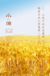 小满