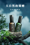 洗护用品海报 洗发水 沐浴露