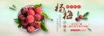 杨梅banner