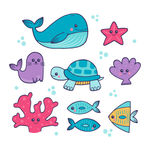海底动物