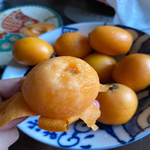 枇杷