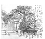 速写风景绘画图案