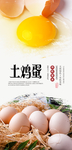 土鸡蛋PSD分层海报