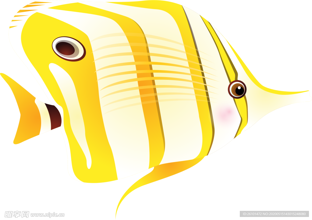 热带鱼