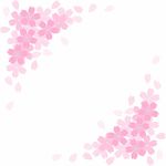 花朵背景