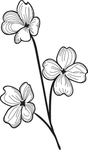 黑白手绘花藤