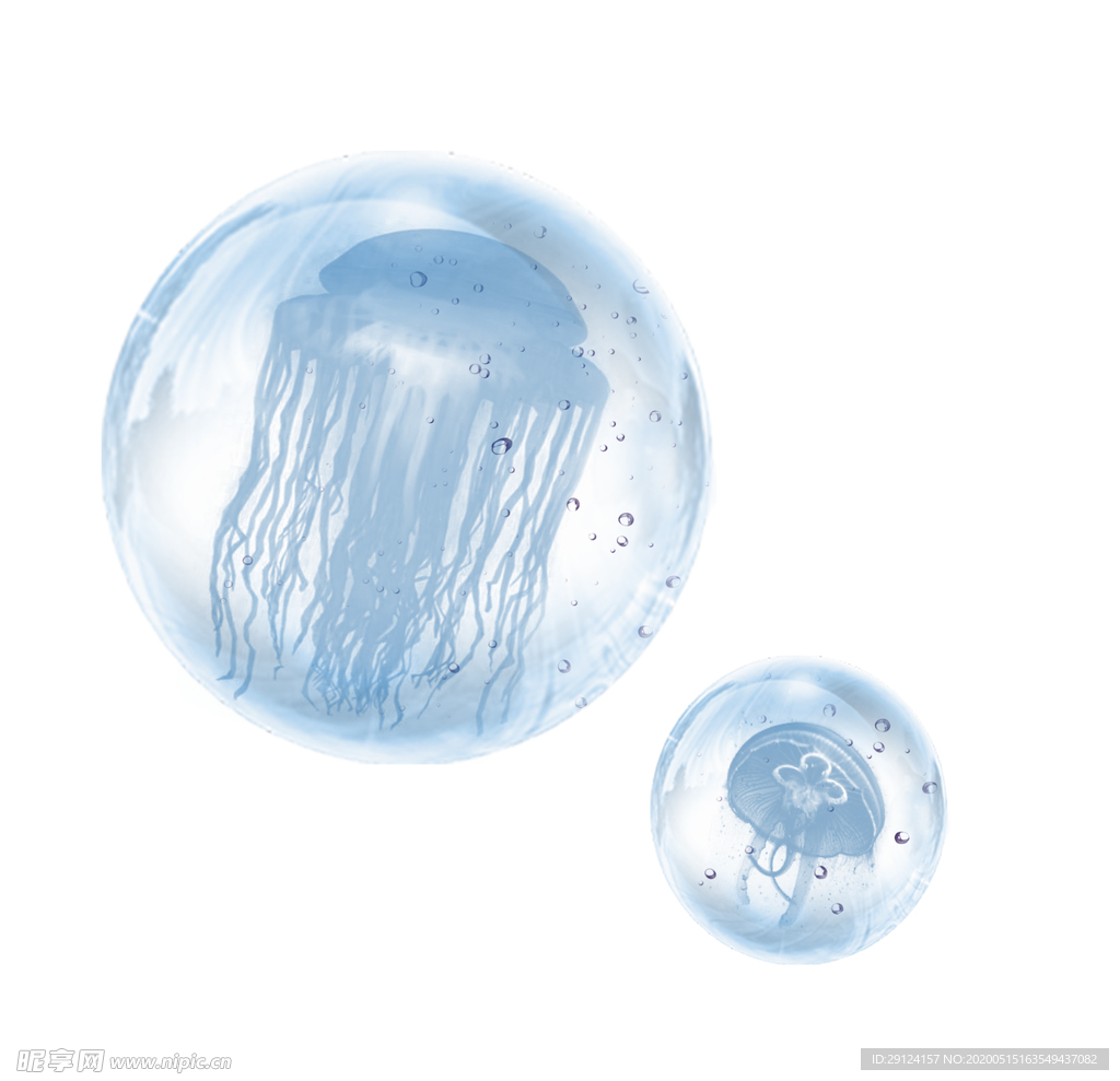 水母
