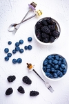 蓝莓 Blueberry