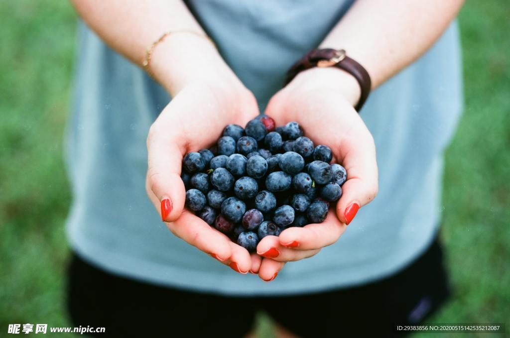 蓝莓 Blueberry