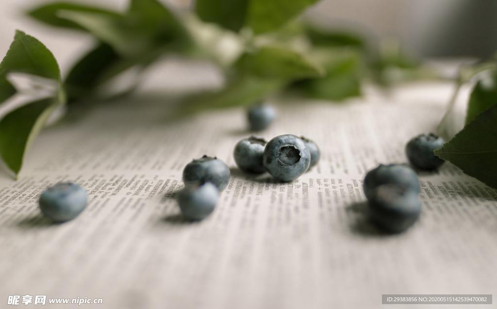 蓝莓 Blueberry