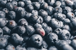 蓝莓 Blueberry