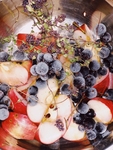 蓝莓 Blueberry