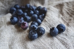 蓝莓 Blueberry
