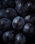 蓝莓特写 Blueberry