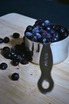蓝莓 Blueberry