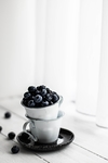 蓝莓 Blueberry