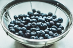 蓝莓 Blueberry