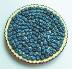 蓝莓 Blueberry