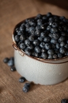 蓝莓 Blueberry