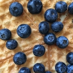 蓝莓 Blueberry
