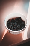 桑椹