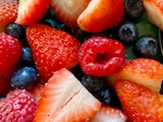 蓝莓 Blueberry