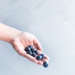 蓝莓 Blueberry