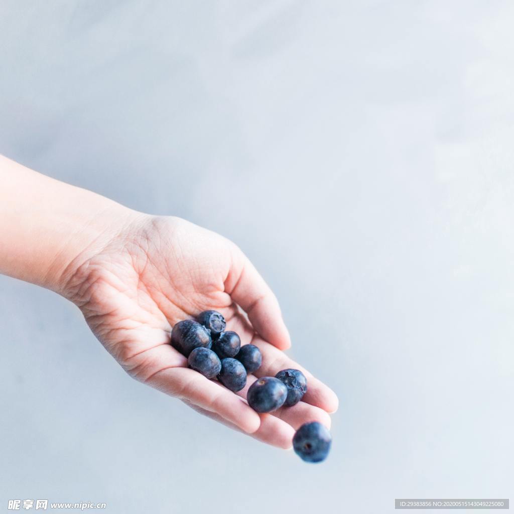 蓝莓 Blueberry
