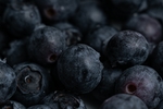蓝莓 Blueberry