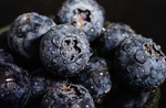 蓝莓 Blueberry