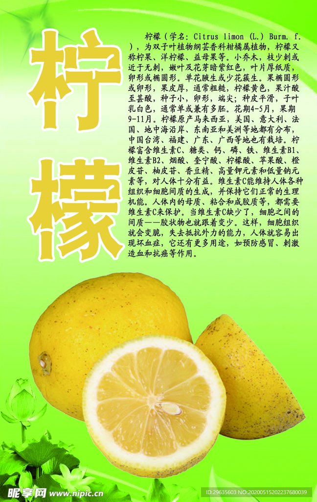 水果文化系列之柠檬