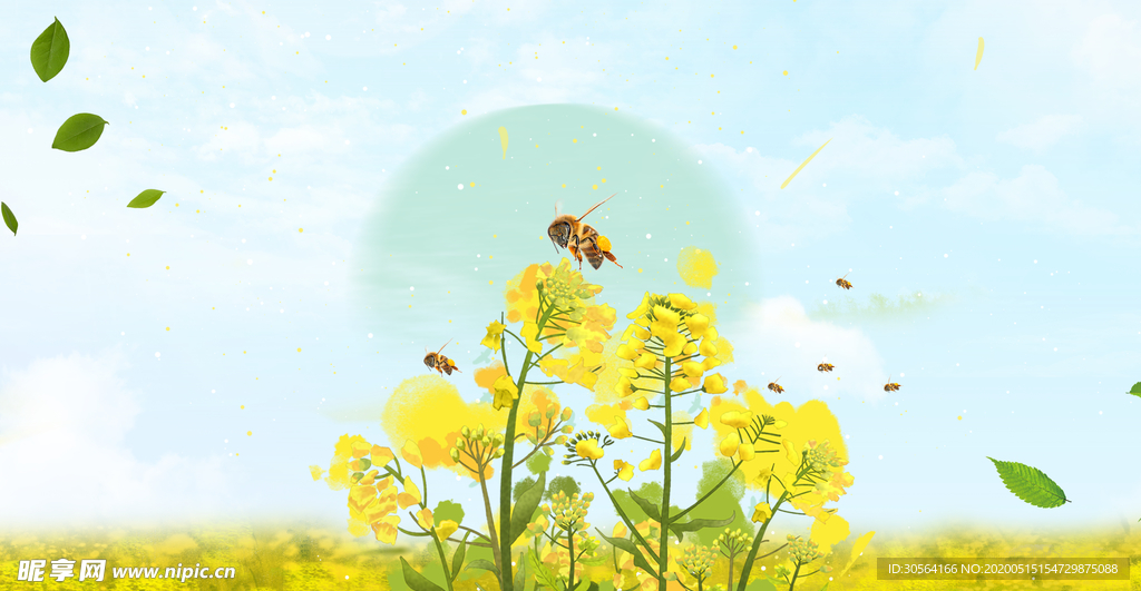 油菜花夏季蜜蜂插画唯美背景素材