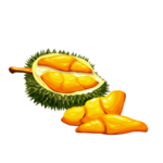榴莲