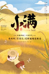 小满 小满节气海报 小满节气图