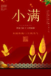 小满 小满节气海报 小满节气图