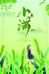 小满 小满节气海报 小满节气图