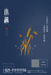 小满 小满节气海报 小满节气图