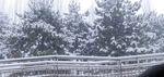 雪景
