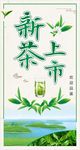 新茶上市