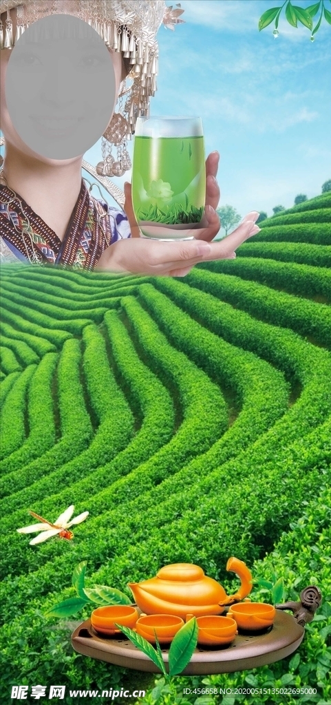 茶园  茶